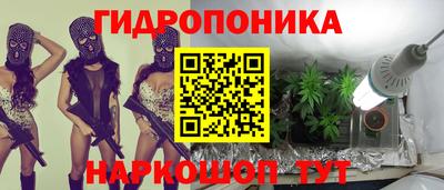 мдпв Гусев