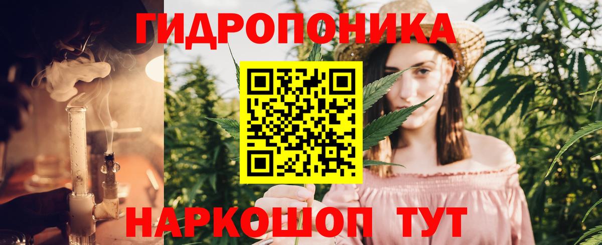 Бошки Шишки LSD WEED  Конопля VHQ  Можга  Конопля план  Вход с VPN 